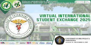 VISE - CVM